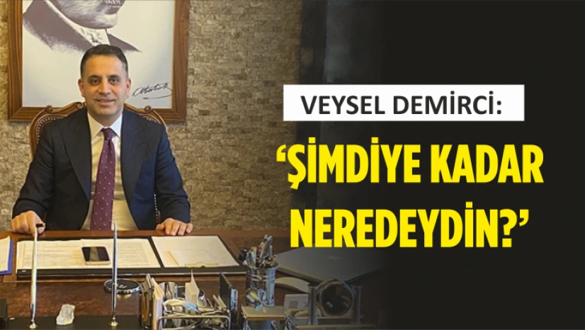 Veysel Demirci: 'Şimdiye Kadar Neredeydin?'