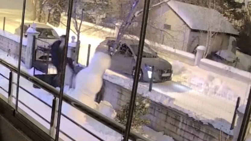 Aracından indi kardan adamı yıkıp gitti