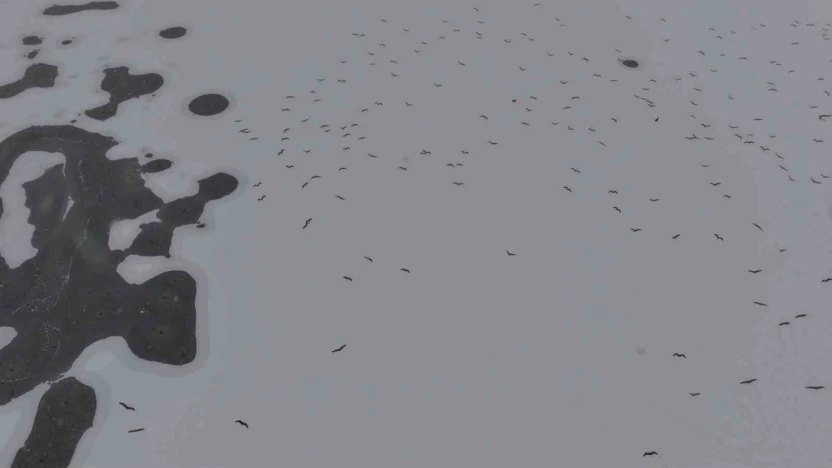 Cip Baraj Gölü buz tuttu