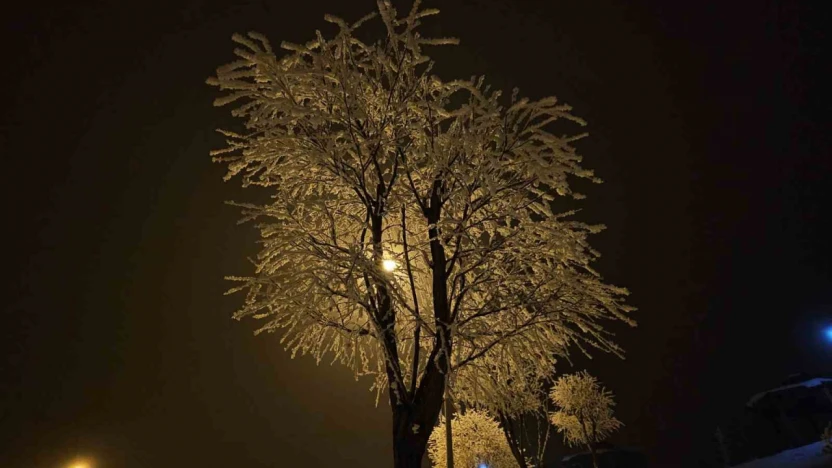 Elazığ'da ağaçlar kırağı tuttu