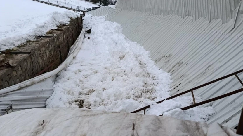 Elazığ'da ahırın tavanı çöktü