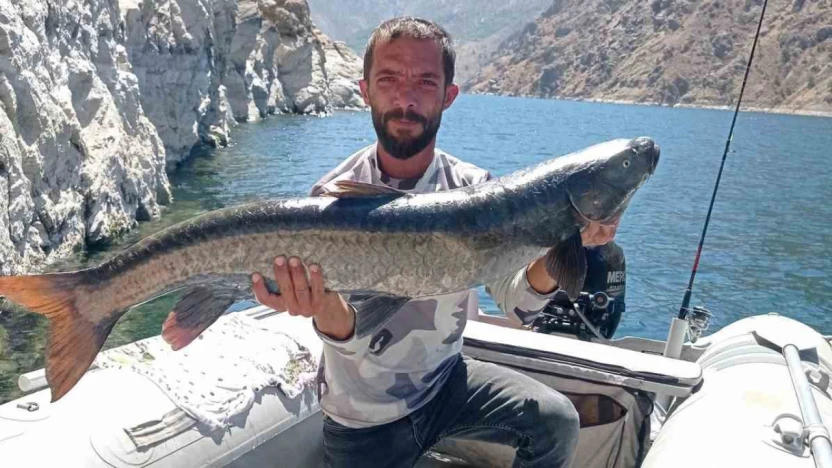Elazığ'da amatör balıkçı, 11 kiloluk dev şabut yakaladı