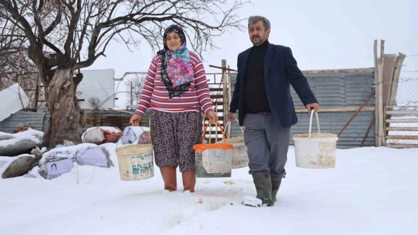 Elazığ'da besicilerin kış mesaisi