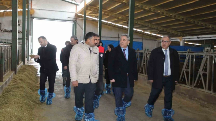 Elazığ'da hayvancılık altyapısı yerinde incelendi