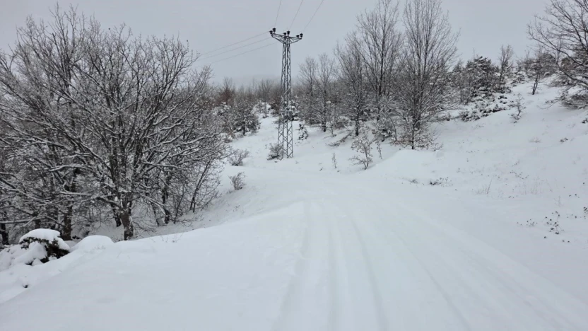 Elazığ'da kar başladı, 311  köy yolu ulaşıma kapandı