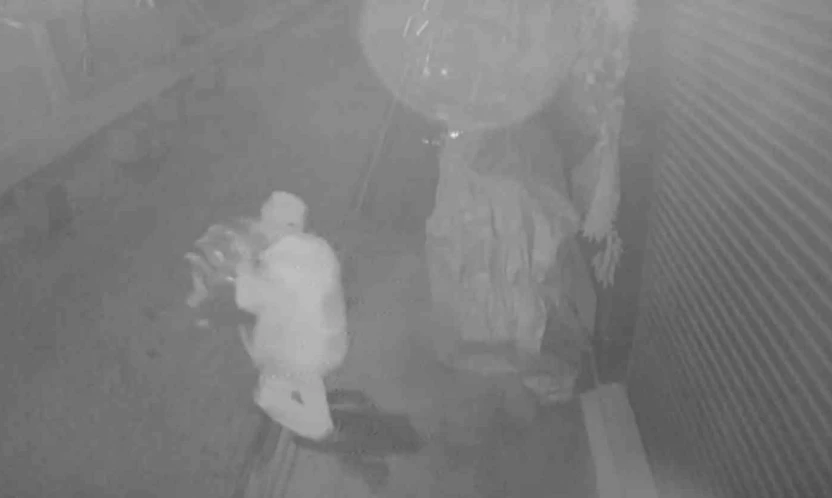 Çaldığı brandayı çöp poşetine sığdıramayınca eliyle taşıyarak götürdü