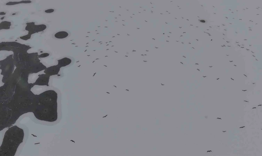 Cip Baraj Gölü buz tuttu