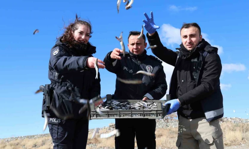 Doğu'nun gizli denizinde şefkat eli: Polis ekipleri martı ve tavşanları unutmadı