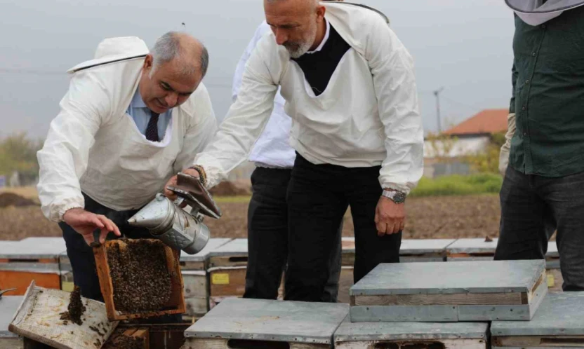 Elazığ arı kovanları incelendi
