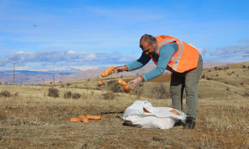 Elazığ Belediyesi Doğaya Yem Bıraktı