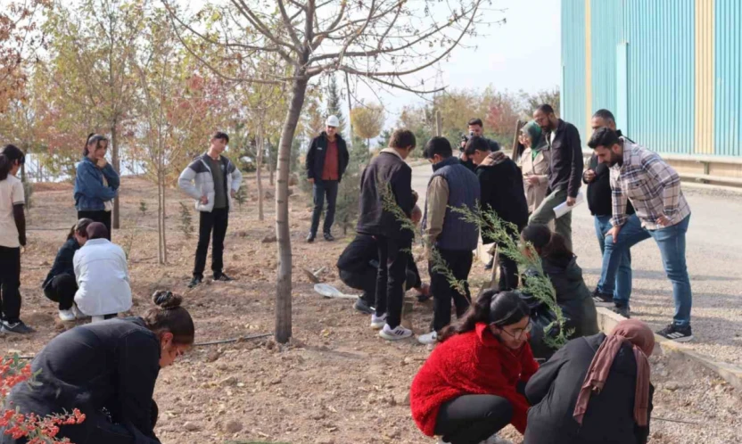 Elazığ'da 'Yeşil Vatan Seferberliği'ne anlamlı destek