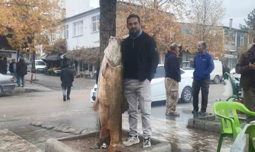 Elazığ'da 60 kiloluk turna balığı yakalandı