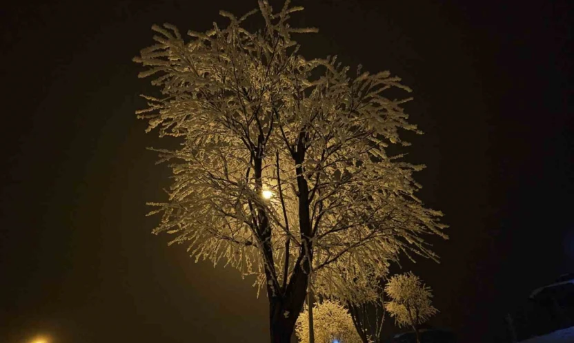 Elazığ'da ağaçlar kırağı tuttu