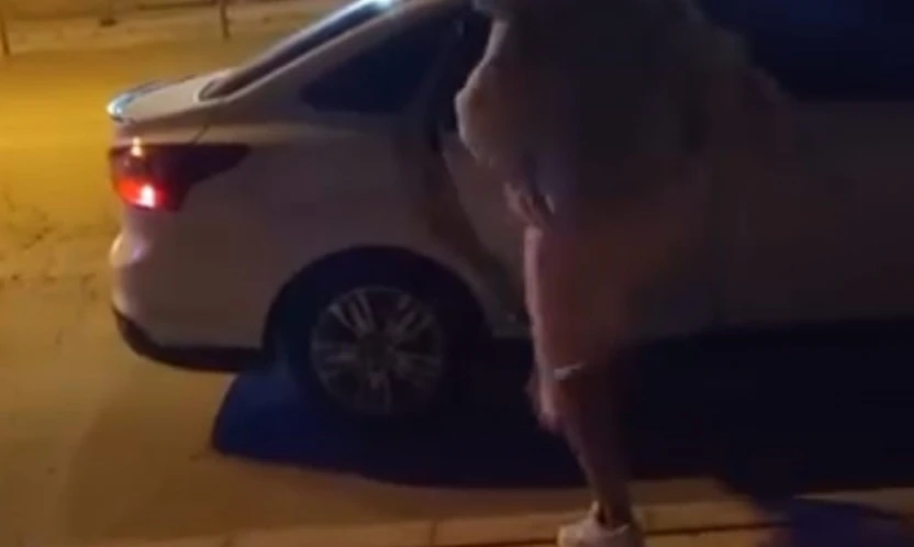 Elazığ'da bir kadın, tartıştığı şahsın arabasına saldırdı