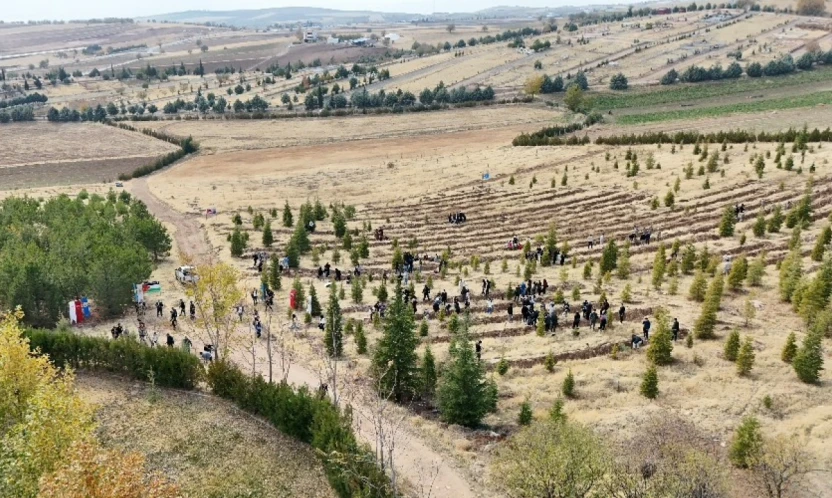 Elazığ'da Doğu Türkistan ve Filistin için fidan diktiler