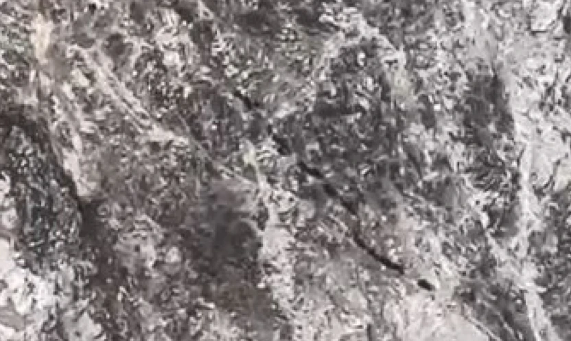 Elazığ'da domuz sürüsü görüntülendi