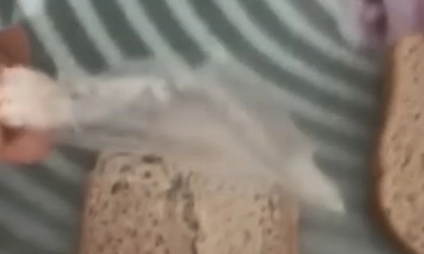 Elazığ'da ekmeğin içerisinden poşet çıktı