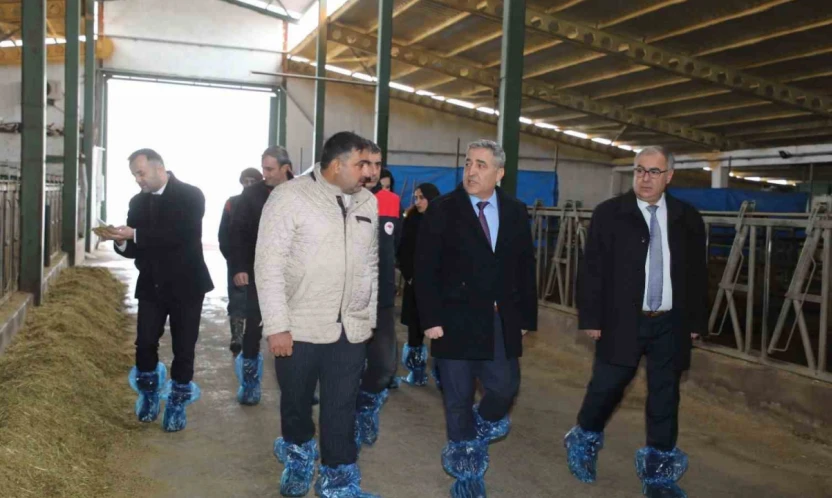 Elazığ'da hayvancılık altyapısı yerinde incelendi