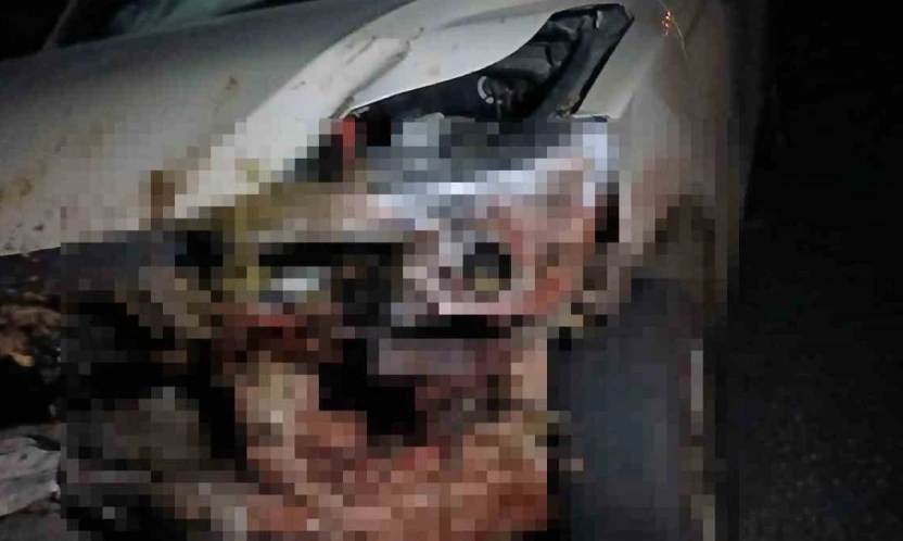 Elazığ'da kamyonet sürüye çarptı: 30 küçükbaş hayvan telef oldu