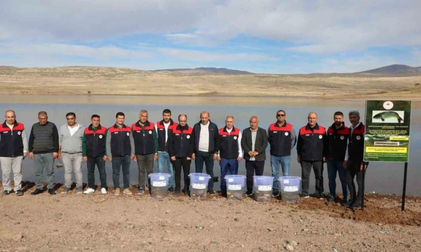 Elazığ'da Su Kaynakları Balıklandırma Projesi sürüyor