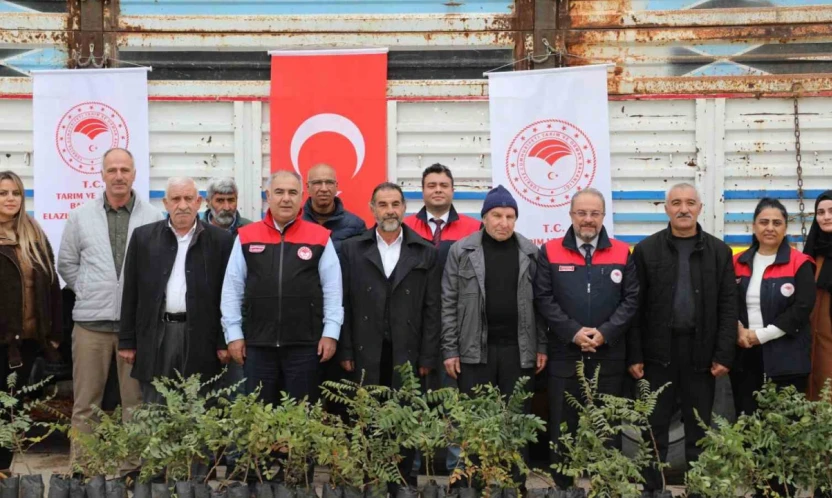 Elazığ'da sumak üretimi artıyor