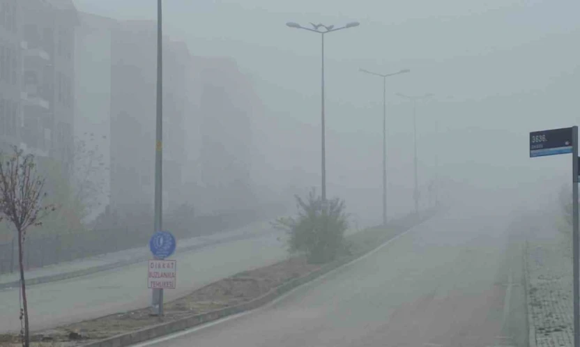 Elazığ'da yoğun sis, bir mahalle adeta kayboldu