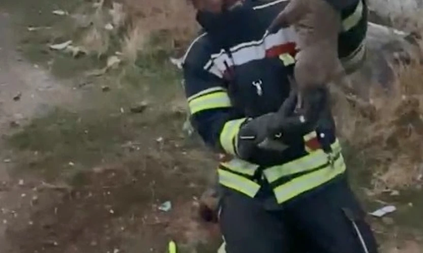 Elazığ'da yürek ısıtan kurtarma operasyonu