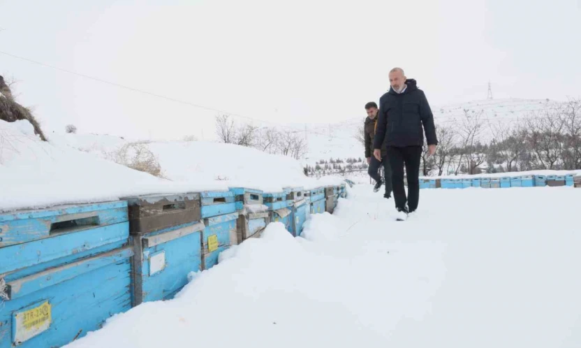 Kar yağışı, koloni kayıplarını ve hastalıkları minimuma indirdi: Arıcılar sezonundan ümitli