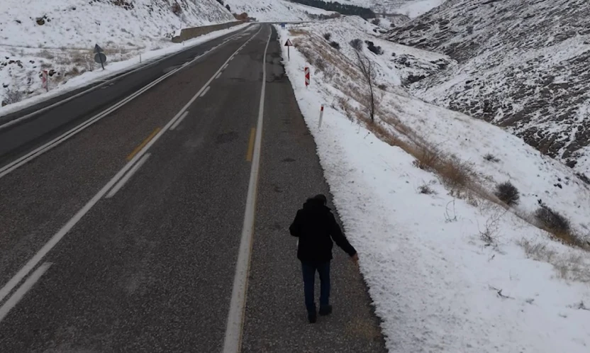 Kuşlar için yol kenarlarına buğday serptiler