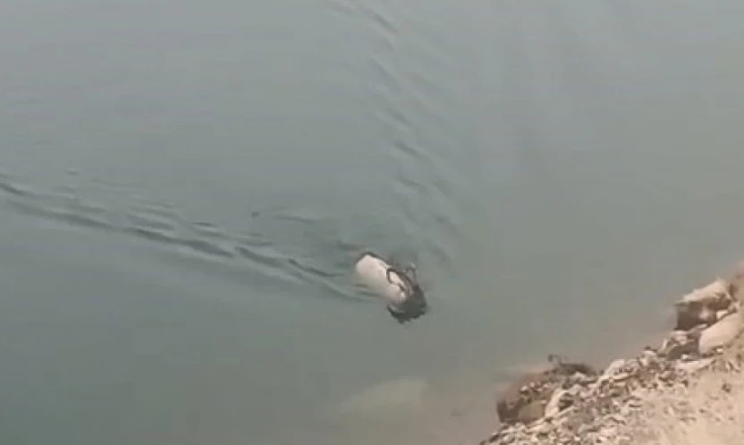 Sarp kayalıkların ustası baraj gölünde yüzerken görüldü