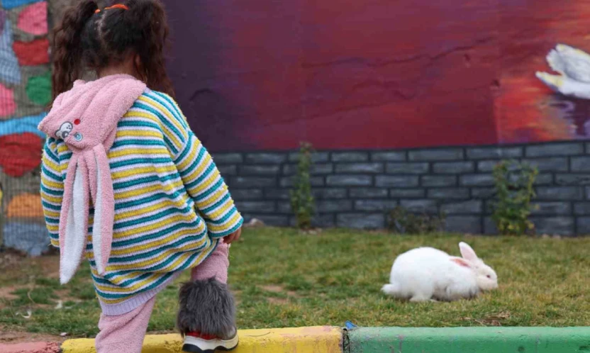 Sivrice Kadın Cezaevi, EuroPris'te 30 ülkeyi geride bırakarak birinciliği aldı